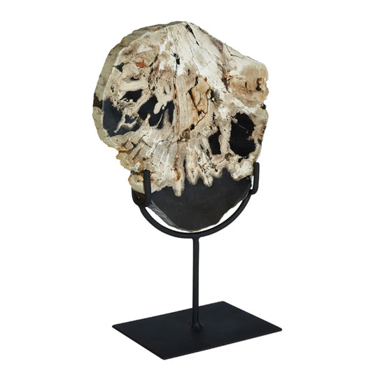 Relic Large Petrified Wood Sculpture In White And Dark Black