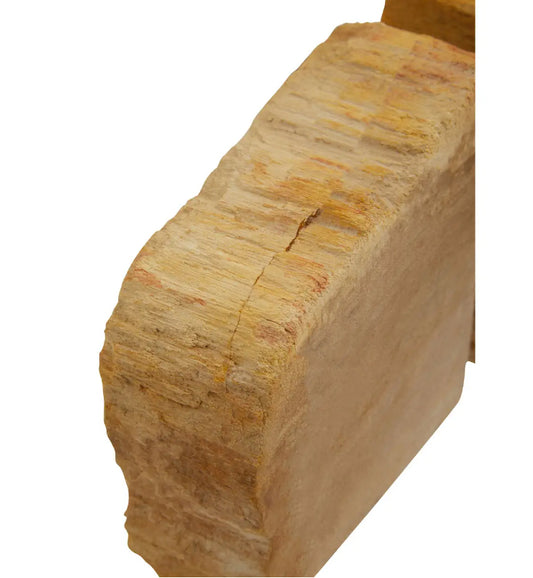 Relic Petrified Wood Set Of 2 Cross-Sections Bookends In Natural