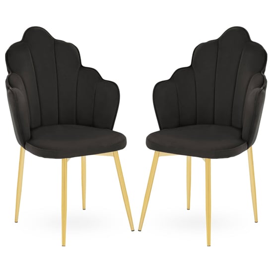 Tian Black Velvet Dining Chairs With Gold Metal Legs In Pair