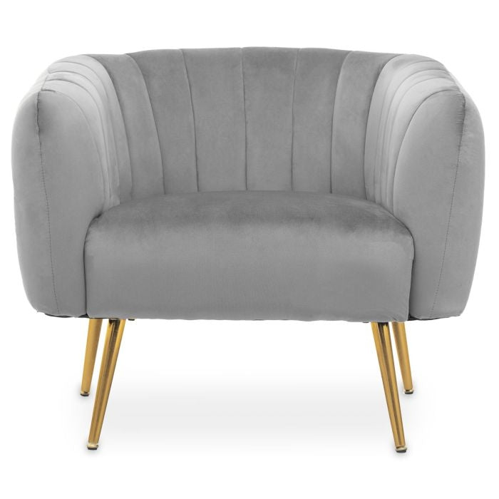 Larissa Velvet Upholstered Armchair In Grey
