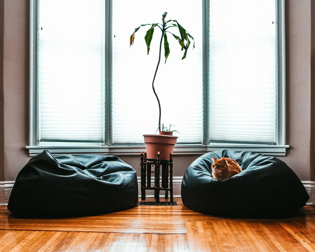 Small Living Room Furniture: Maximizing Space Without Sacrificing Style