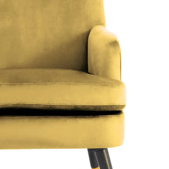 Loretta Velvet Armchair In Pistachio With Black Wood Legs