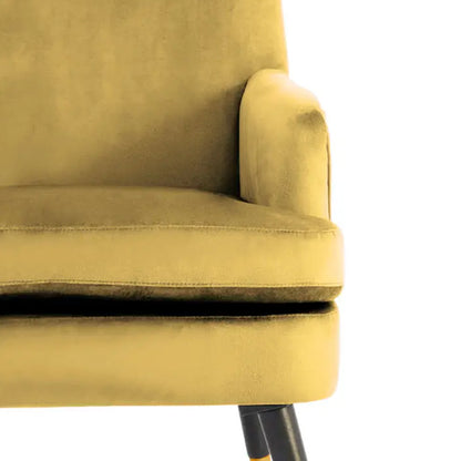 Loretta Velvet Armchair In Pistachio With Black Wood Legs