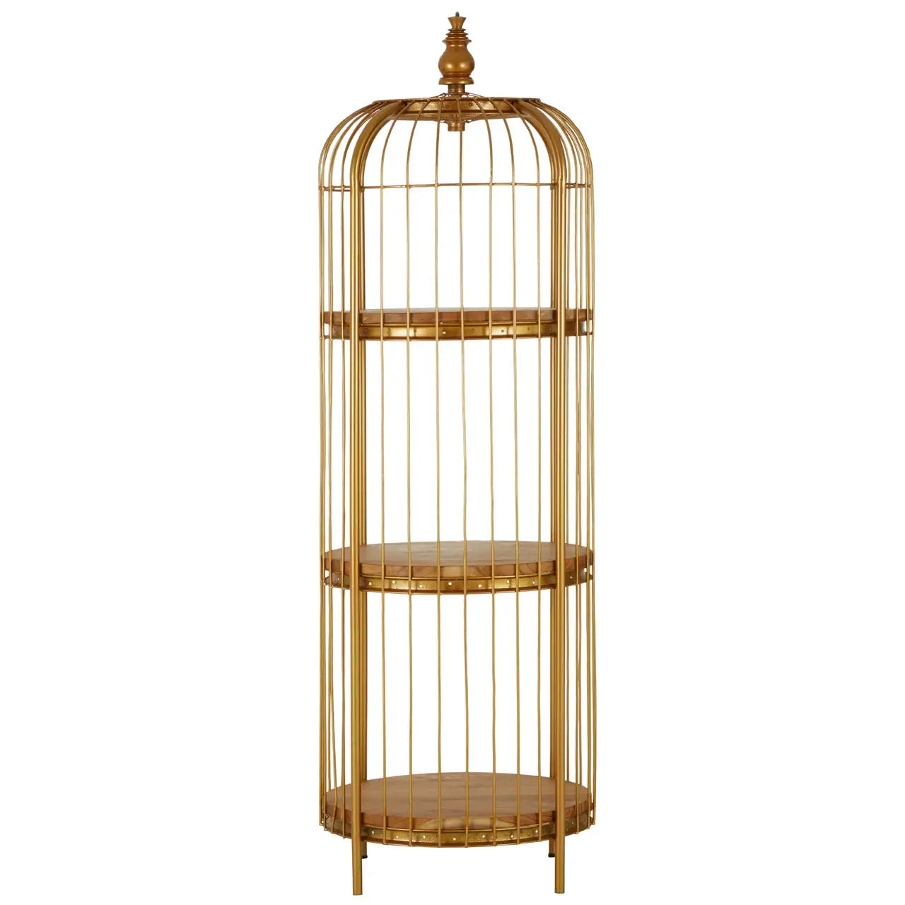 Mantis Medium Shelving Unit In Gold