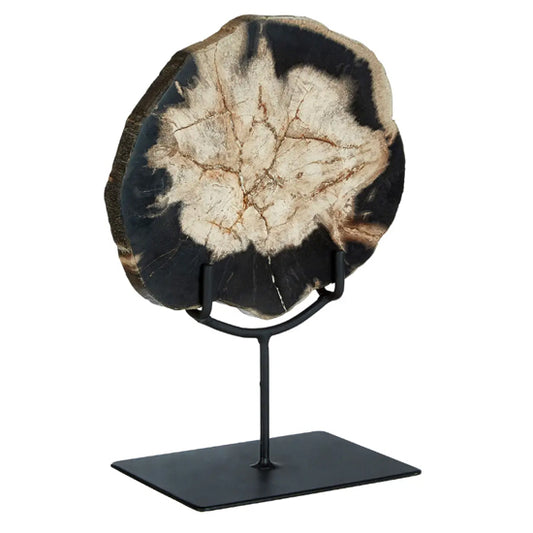 Relic Small Petrified Wood Sculpture In White And Dark Black