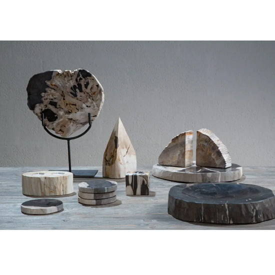 Relic Small Petrified Wood Sculpture In White And Dark Black