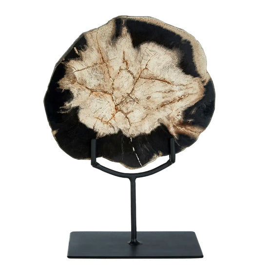 Relic Small Petrified Wood Sculpture In White And Dark Black