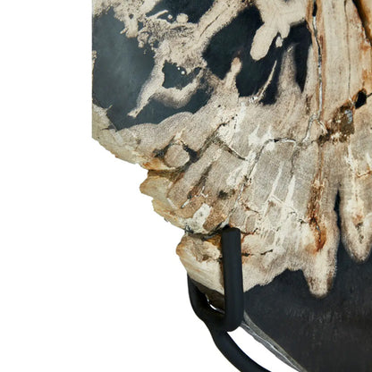 Relic Large Petrified Wood Sculpture In White And Dark Black