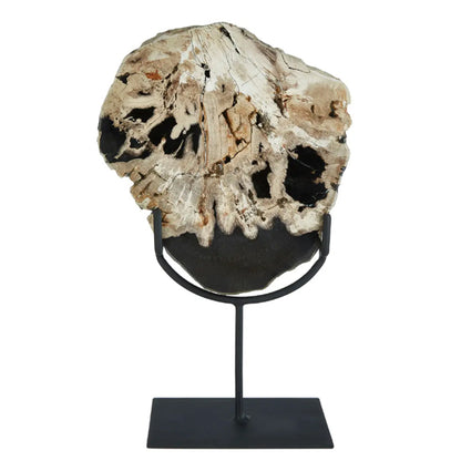 Relic Large Petrified Wood Sculpture In White And Dark Black