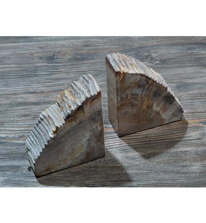 Relic Petrified Wood Bookend In Dark Black