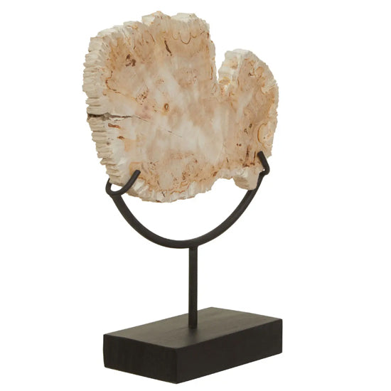 Relic Small Petrified Wood Sculpture In Natural