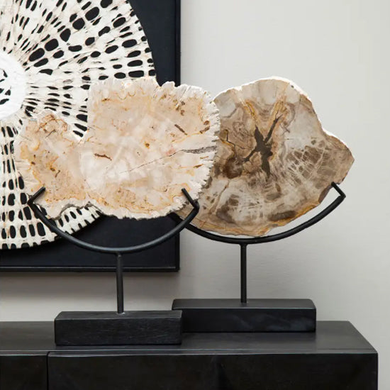 Relic Large Petrified Wood Sculpture In Natural