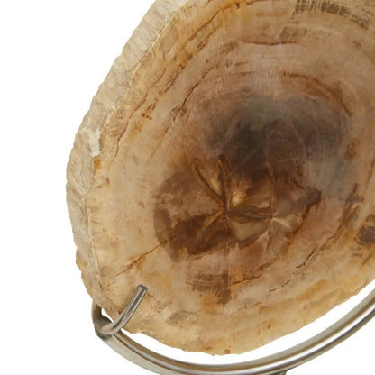 Relic Petrified Wood Sculpture In Natural
