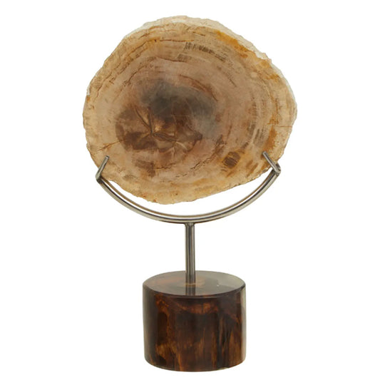 Relic Petrified Wood Sculpture In Natural
