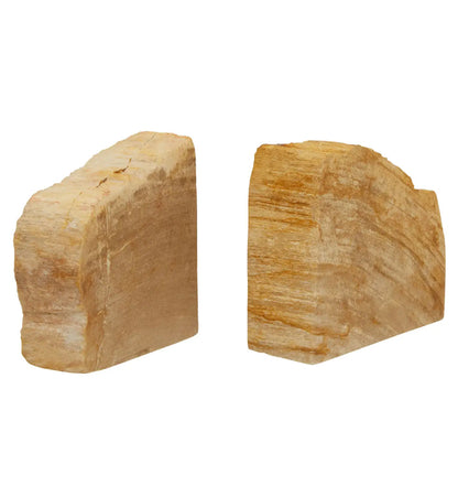 Relic Petrified Wood Set Of 2 Cross-Sections Bookends In Natural