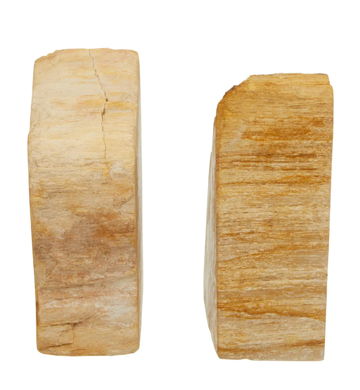 Relic Petrified Wood Set Of 2 Cross-Sections Bookends In Natural