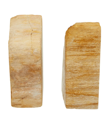 Relic Petrified Wood Set Of 2 Cross-Sections Bookends In Natural