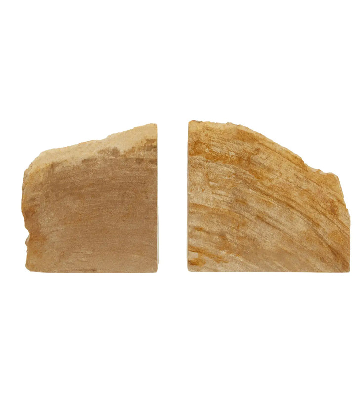 Relic Petrified Wood Set Of 2 Cross-Sections Bookends In Natural