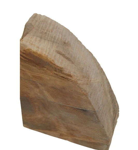 Relic Petrified Wood Set Of 2 Bookends In Natural