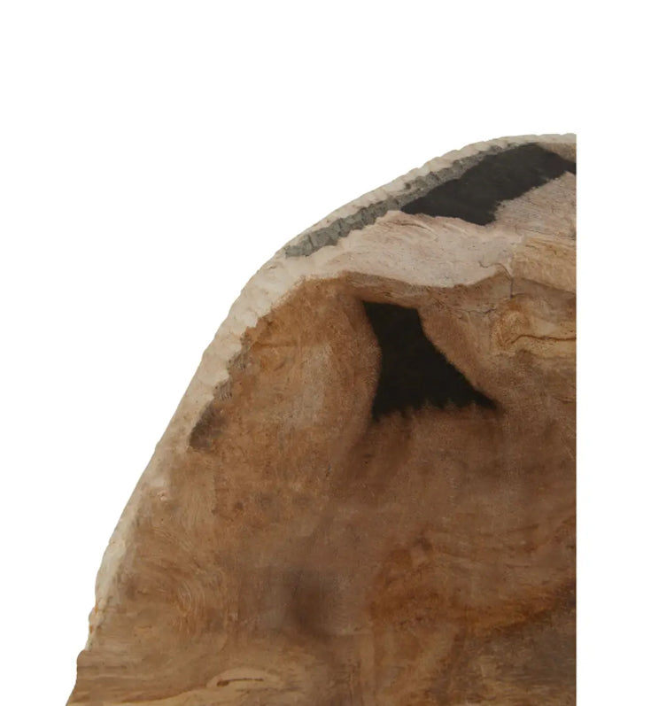 Relic Petrified Wood Set Of 2 Bookends In Natural