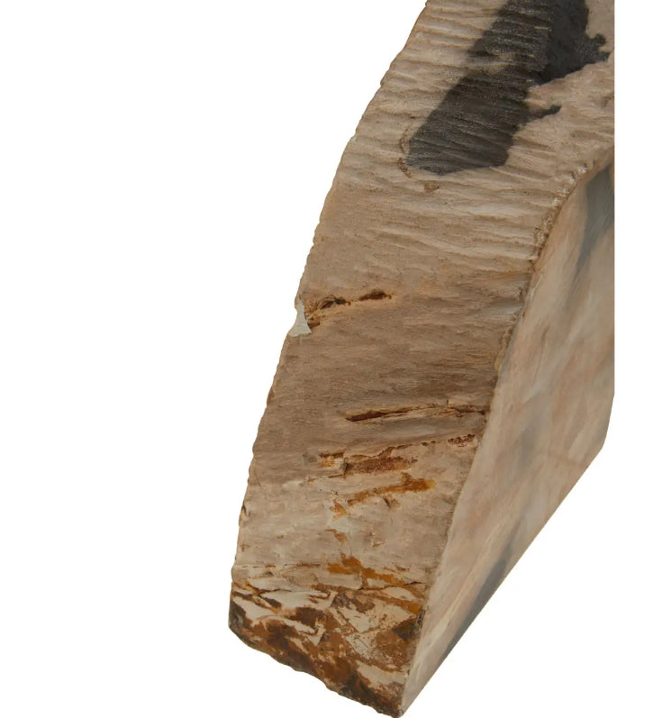 Relic Petrified Wood Set Of 2 Bookends In Natural