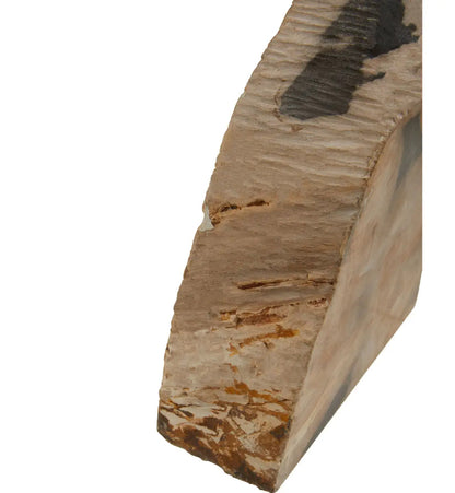 Relic Petrified Wood Set Of 2 Bookends In Natural