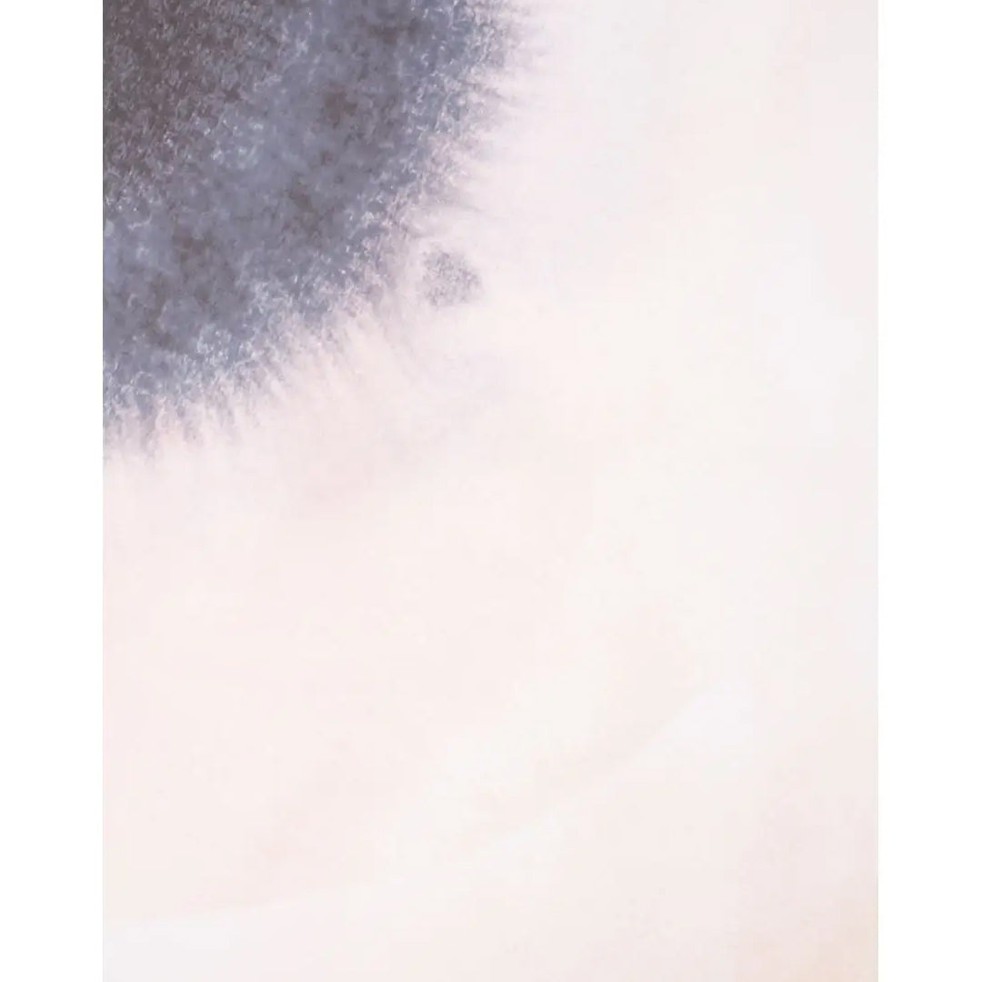 Astratto Canvas Classic Wall Art In Gentle Colour