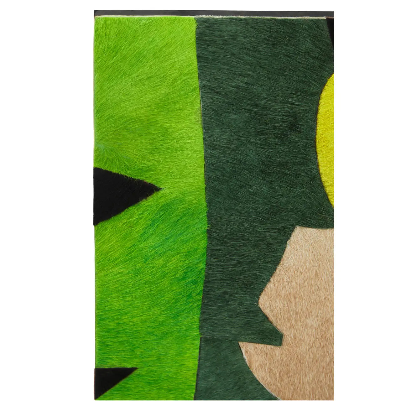 Safira Botanical Hair On Leather Print Wall Art In Green