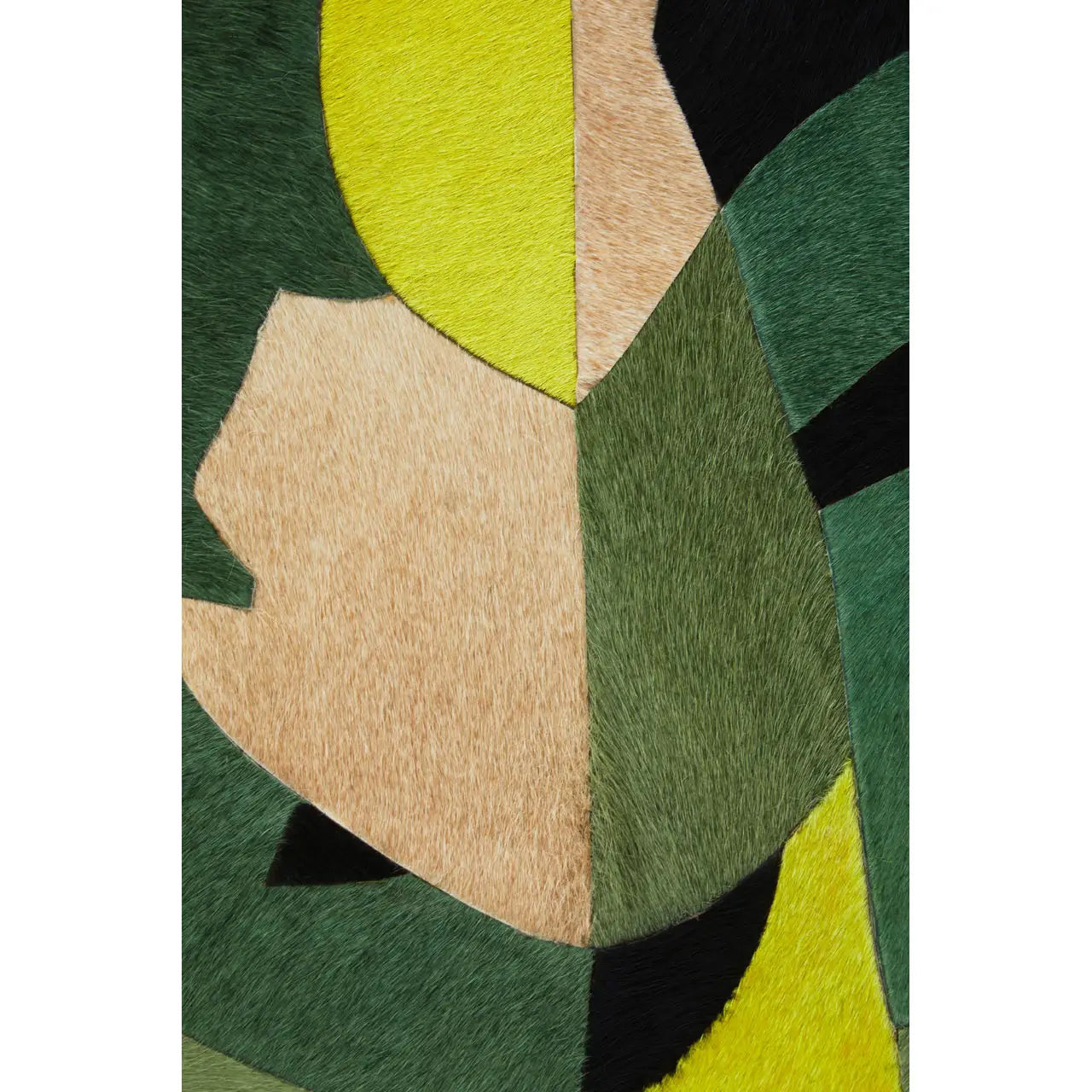 Safira Botanical Hair On Leather Print Wall Art In Green