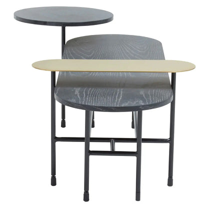 Serrano Black Oak Veneering Coffee Table With Black Metal Frame