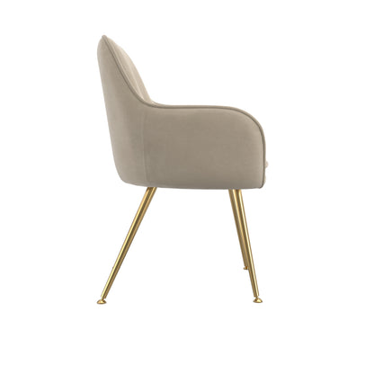 Tara Light Fawn Velvet Fabric Dining Chairs With Gold Legs In Pair