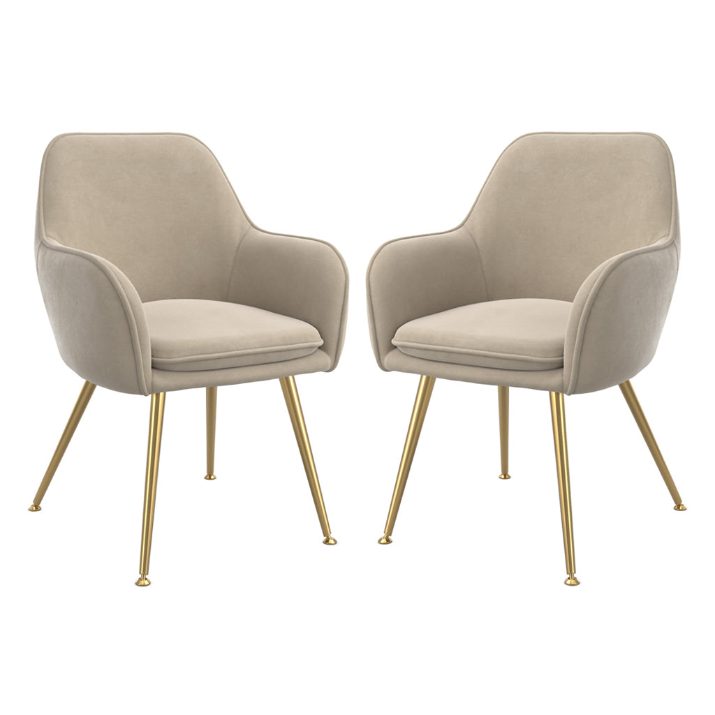 Tara Light Fawn Velvet Fabric Dining Chairs With Gold Legs In Pair