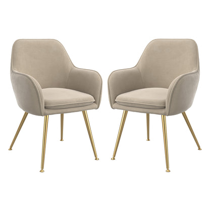 Tara Light Fawn Velvet Fabric Dining Chairs With Gold Legs In Pair