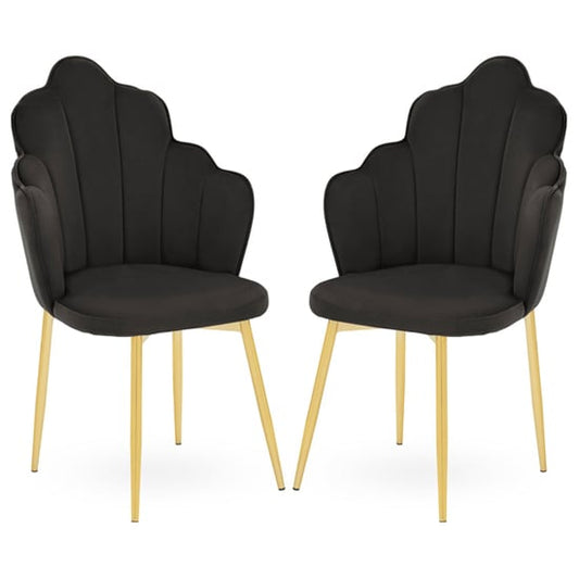 Tian Black Velvet Dining Chairs With Gold Metal Legs In Pair