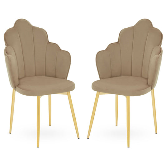 Tian MInk Velvet Dining Chairs With Gold Metal Legs In Pair