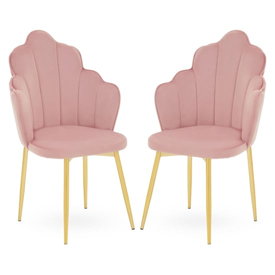 Tian Pink Velvet Dining Chairs With Gold Metal Legs In Pair
