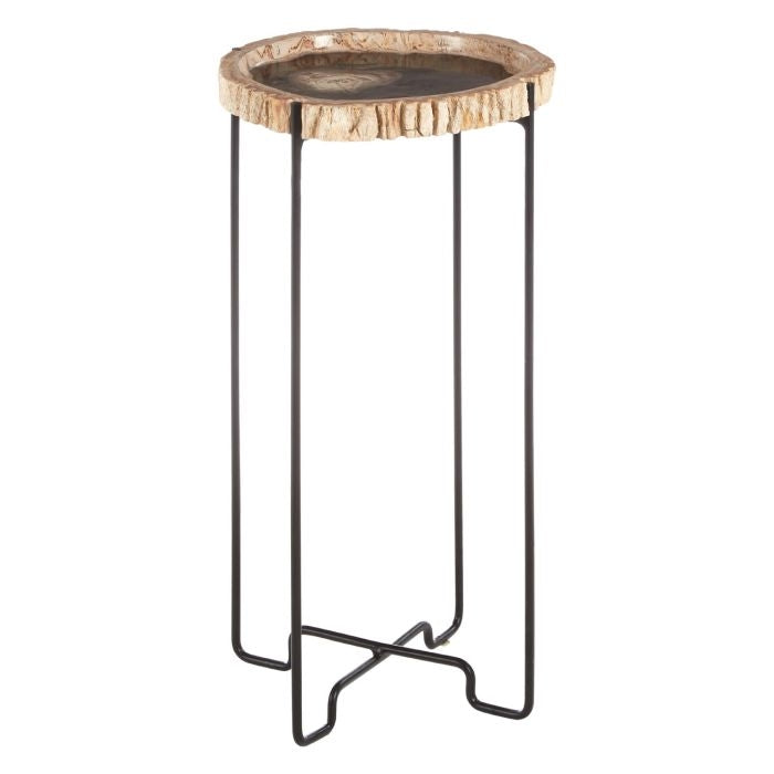 Ripley Petrified Wooden Top Side Table With Black Metal Base