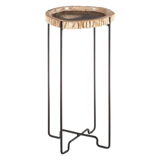 Ripley Petrified Wooden Top Side Table With Black Metal Base
